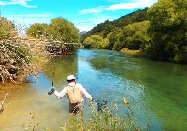 Win a WAECO Ice Box photo comp entry